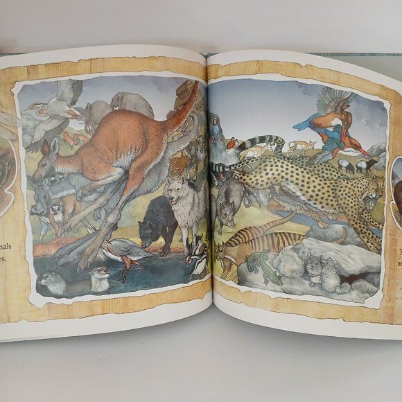 On Noah's Ark by Jan Brett - Picture 7 of 8